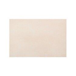 Azulejo Aspen Vitromex 20.1×30.19 Hueso