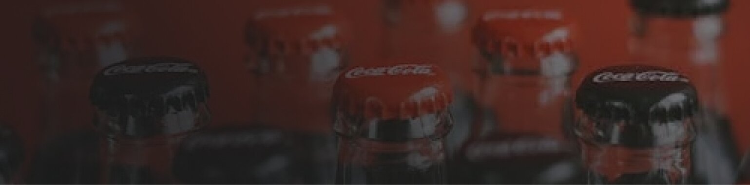 banner_section_1_bg_4.jpg