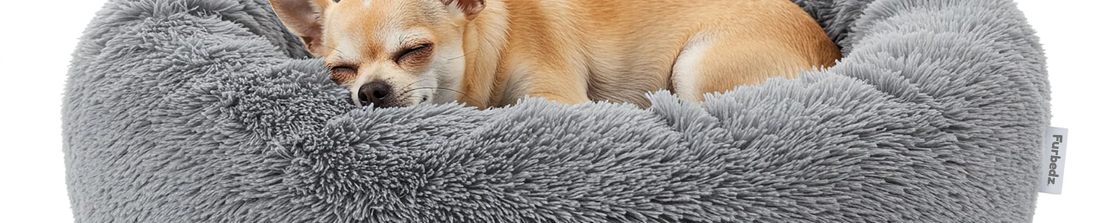 Camas para Perros